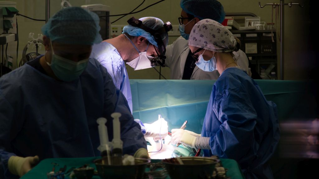NN Romania doneaza jumatate de milion de euro pentru extinderea Sectiei de Cardiochirurgie a Spitalului de Copii Marie Curie din Bucuresti