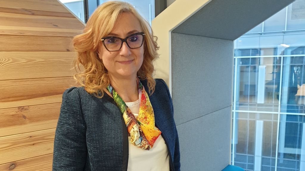 Lucica Pitulice este noul Chief Financial Officer al ING Bank Romania