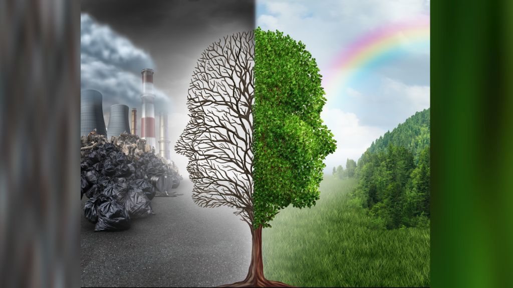 Lack of detailed reporting on businesses’ nature impacts may slow global action to protect world’s ecosystems