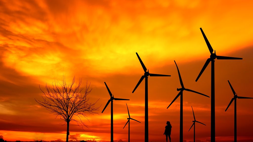 The Rise of Sustainable Innovation in Private Label