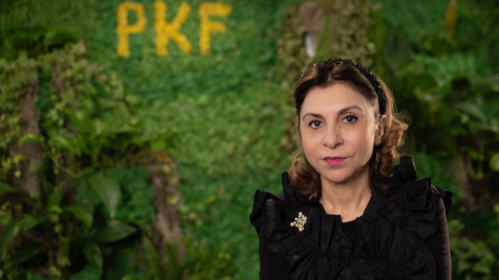 Investitiile private equity redeseneaza piata serviciilor profesionale