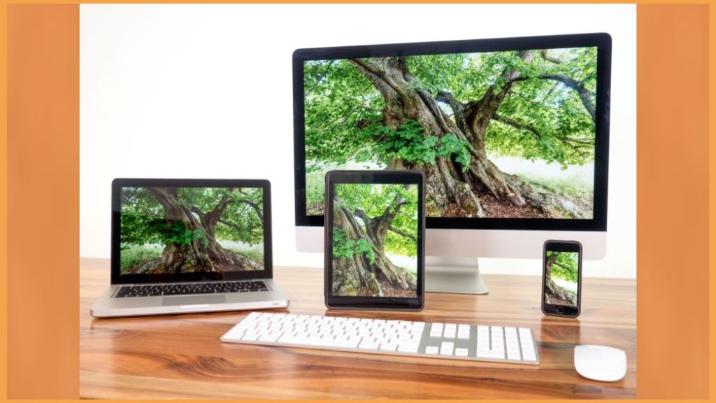 Orange Romania integreaza Rakuten TV in serviciile sale de streaming