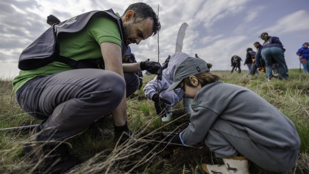OSCAR Downstream and Padurea Copiilor expand the forest in Sinesti with 3 hectares and 15,000 saplings