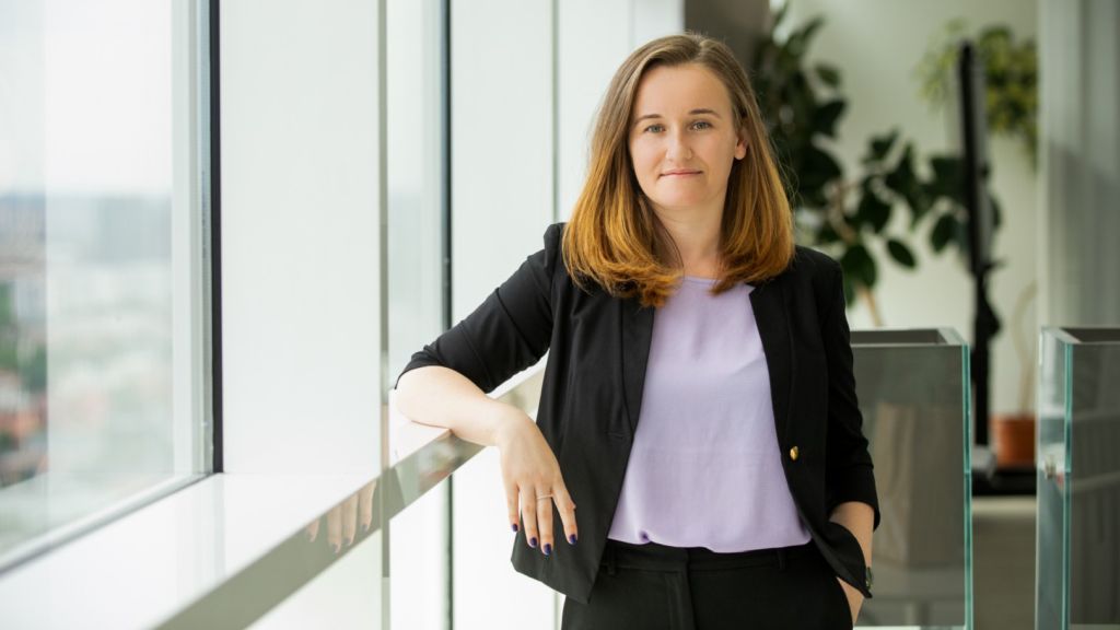 Fraud Risks That Can Change the Story of a Transaction