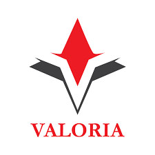 VALORIA BUSINESS SOLUTIONS SRL